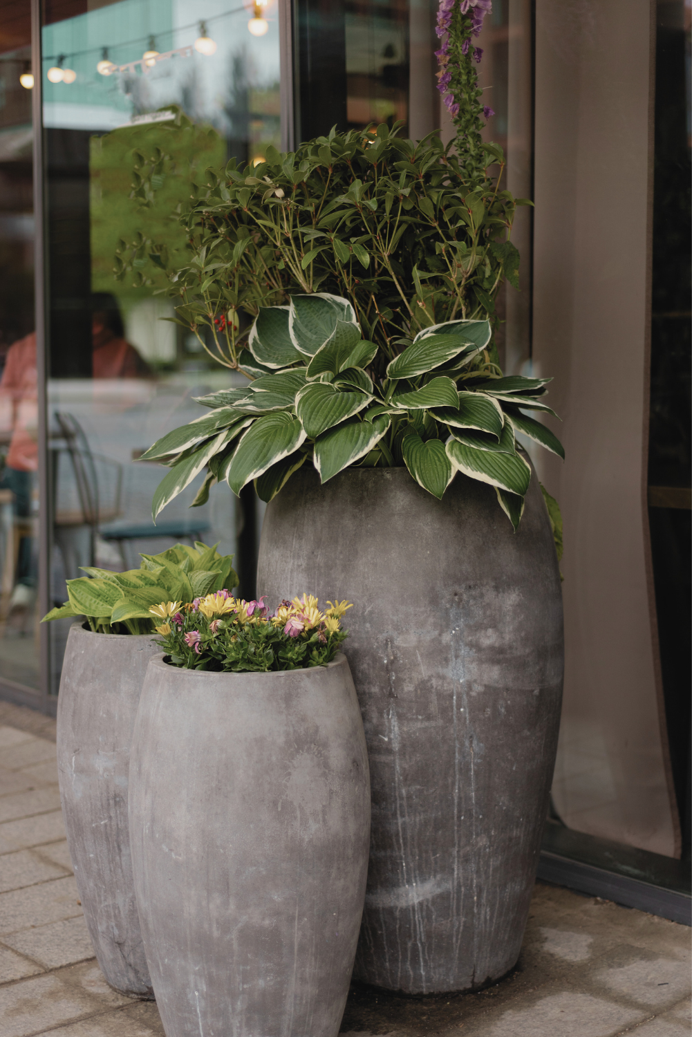 patio decor ideas with plants